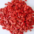 Low Pesticides EU Standard 600 Grains Goji Berry High Quality